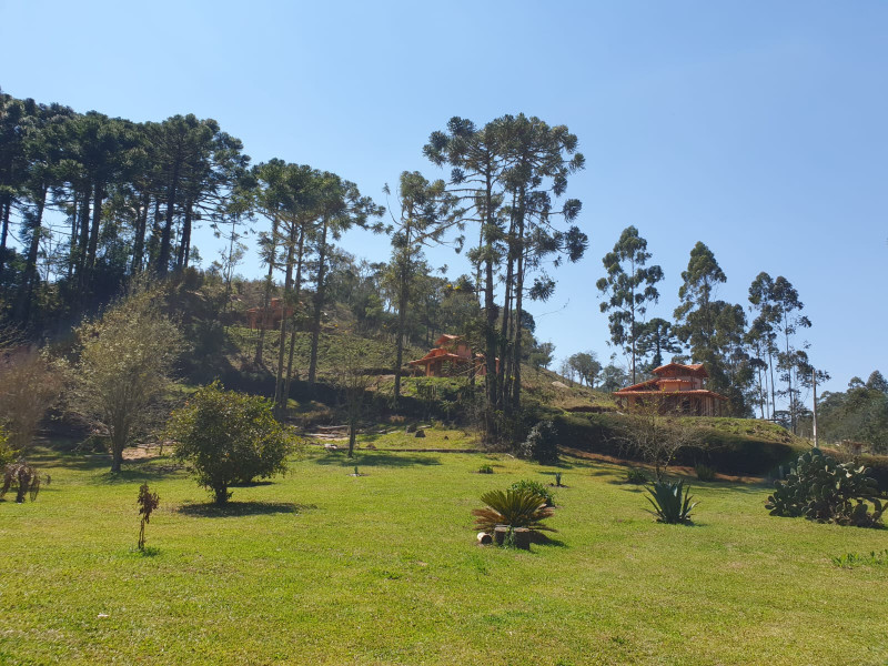 Sítio à venda Centro com 17000m² e 3 quartos por R$ 1.600.000 - 474664698-whatsapp-image-2023-03-01-at-17.jpeg
