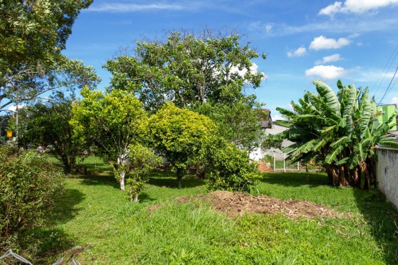 Casa à venda Jardim Bom Jesus dos Passos com 100m² e 4 quartos por R$ 360.000 - 2124295240-img-20230228-wa0007.jpg
