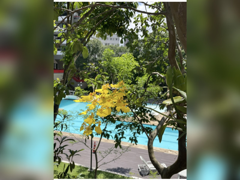 imóvel com 113m² - Sumaré - São Paulo