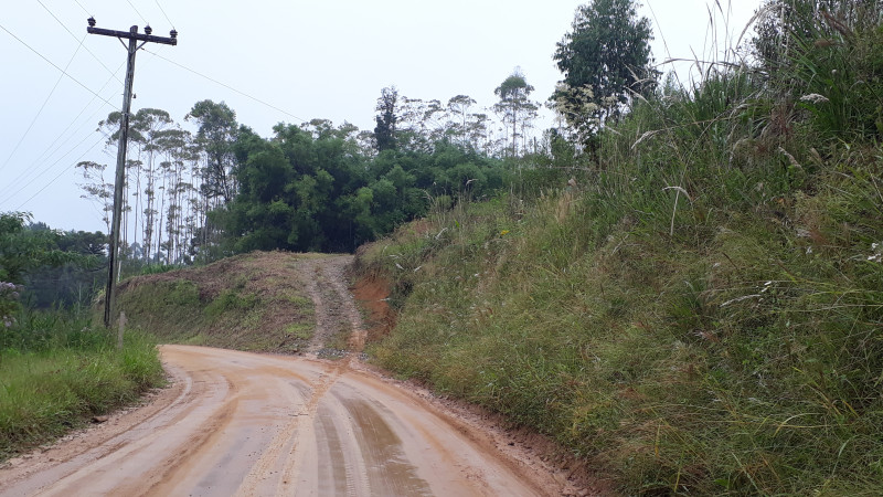 Sítio à venda Centro com 33000m² e 2 quartos por R$ 298.000 - 199247453-20220403-140705-010654.jpg