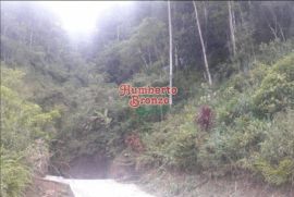 Terreno à venda Centro com 4077m² - 1 dormitório -  vagas - R$ 180.000 - 1039648619-whatsapp-image-2023-03-09-at-09.jpeg