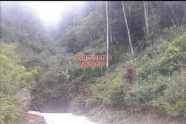 Terreno à venda Centro com 4077m² - 1 dormitório -  vagas - R$ 180.000 - 285103070-whatsapp-image-2023-03-09-at-09.jpeg