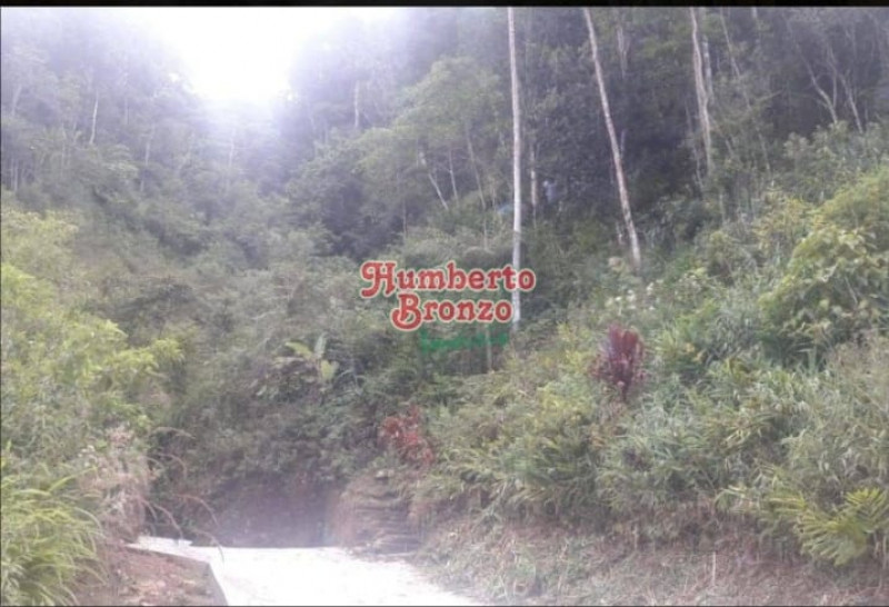 Terreno à venda Centro com 4077m² e 1 quarto por R$ 180.000 - 1039648619-whatsapp-image-2023-03-09-at-09.jpeg