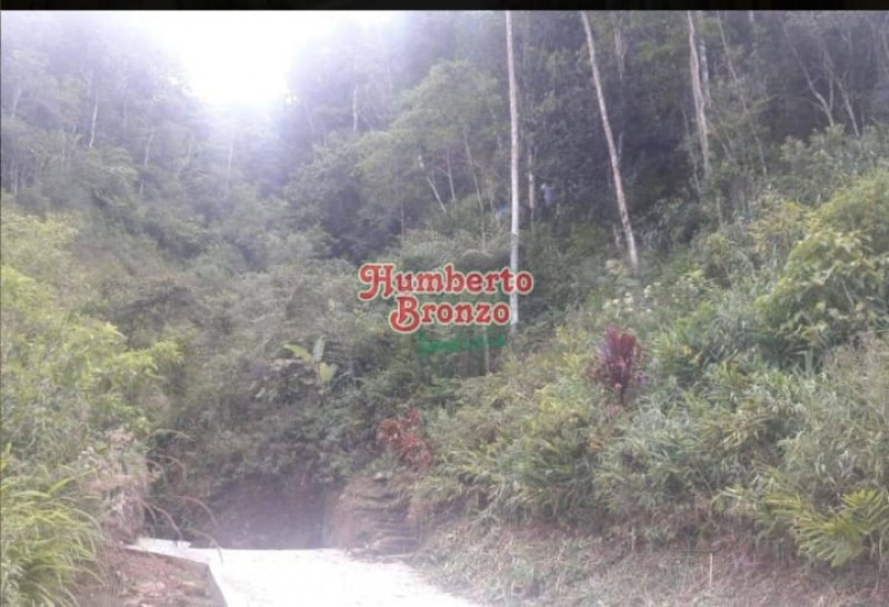 Terreno à venda Centro com 4077m² e 1 quarto por R$ 180.000 - 285103070-whatsapp-image-2023-03-09-at-09.jpeg