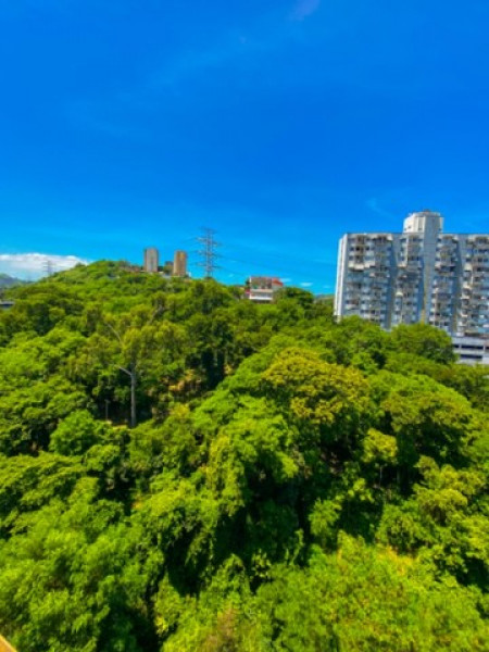 Apartamento à venda Fonseca com 100m² e 3 quartos por R$ 540.000 - 1022549511-240393383158795.jpg