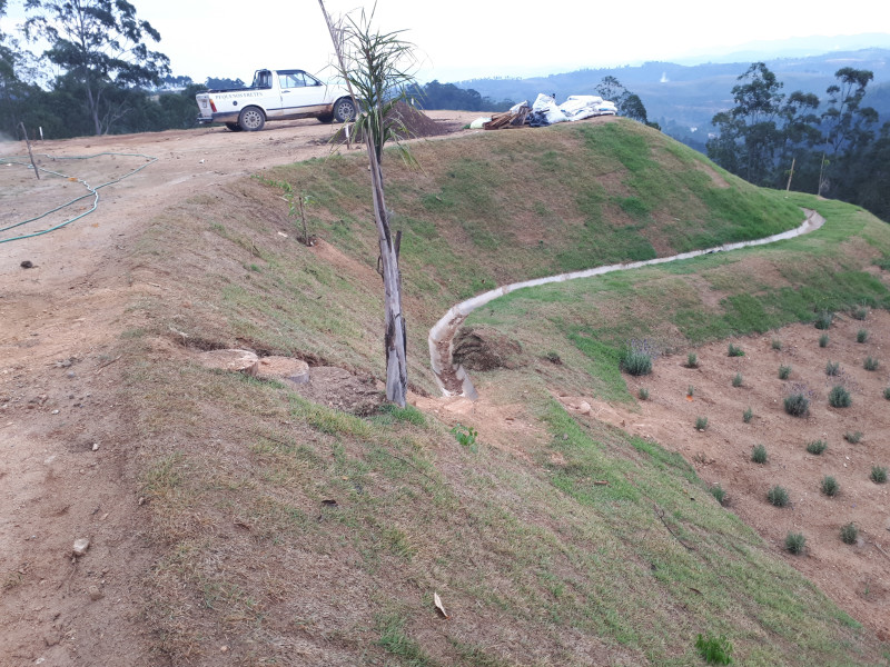 Terreno à venda Ecoville com 4000m² e 1 quarto por R$ 1.650.000 - 20210909-161420.jpg