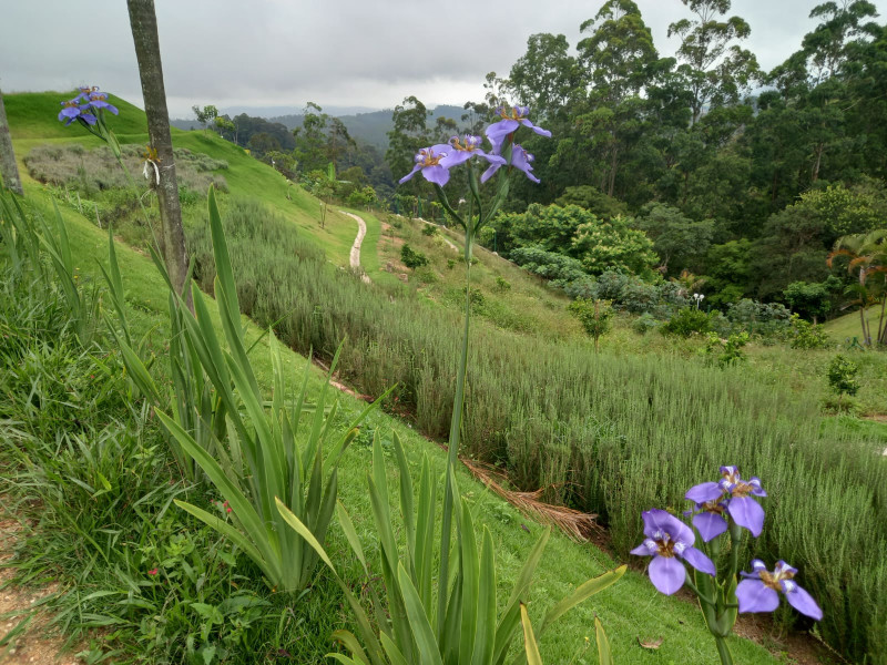 Terreno à venda Ecoville com 4000m² e 1 quarto por R$ 1.650.000 - img-20230110-wa0000.jpg