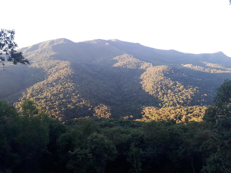 Terreno à venda Ecoville com 4000m² e 1 quarto por R$ 1.650.000 - img-20230315-wa0001.jpg
