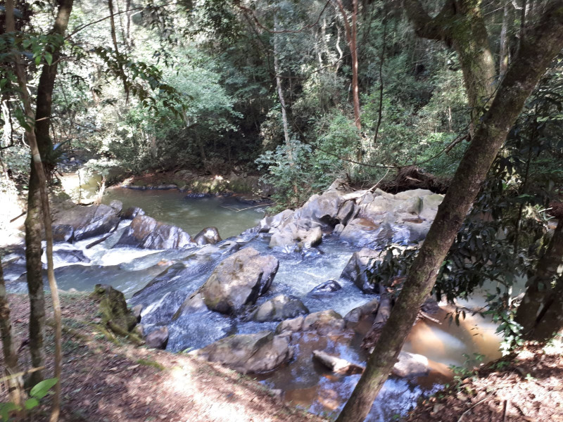 Terreno à venda Ecoville com 4000m² e 1 quarto por R$ 1.650.000 - img-20230315-wa0003.jpg