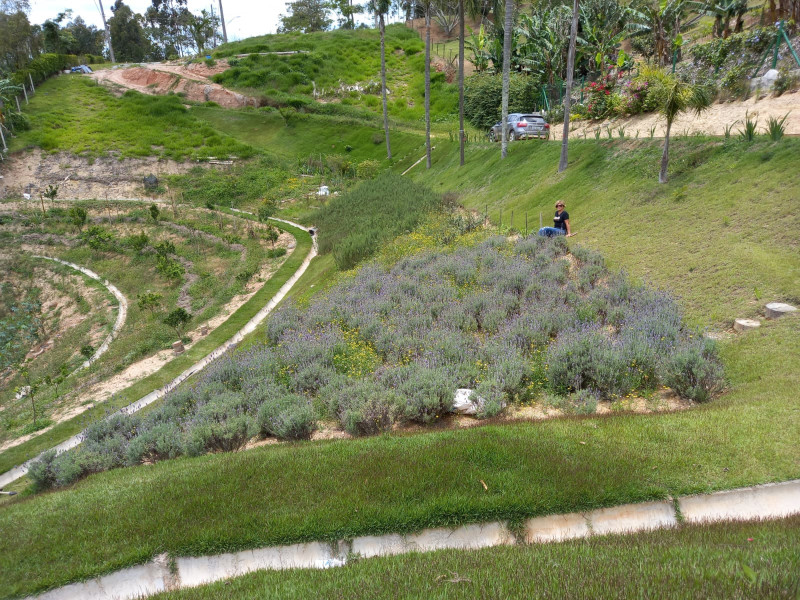 Terreno à venda Ecoville com 4000m² e 1 quarto por R$ 1.650.000 - img-20230315-wa0004.jpg