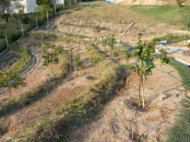 Terreno à venda Ecoville com 4000m² e 1 quarto por R$ 1.650.000 - img-20230315-wa0007.jpg