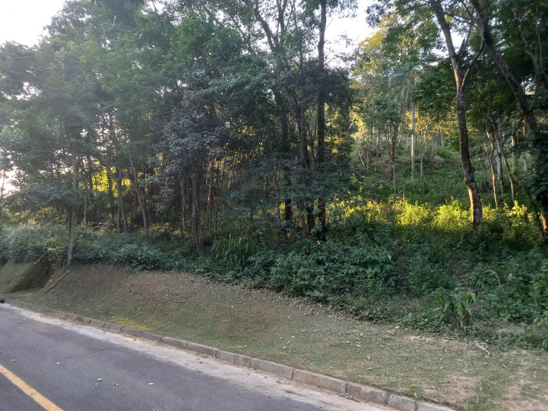 Terreno à venda Ecoville com 5100m² e 1 quarto por R$ 790.000 - 20230322-172744.jpg