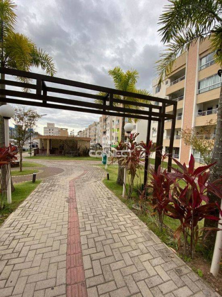 Apartamento para alugar Espinheiros com 56m² e 2 quartos por R$ 1.800 - 746839320-3mpejlepdtn3.jpg