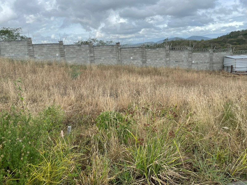 Terreno à venda Nova Esperança com 200m² e 1 quarto por R$ 65.000 - 320950143-photo-2023-02-22-07-21-48-14.jpg