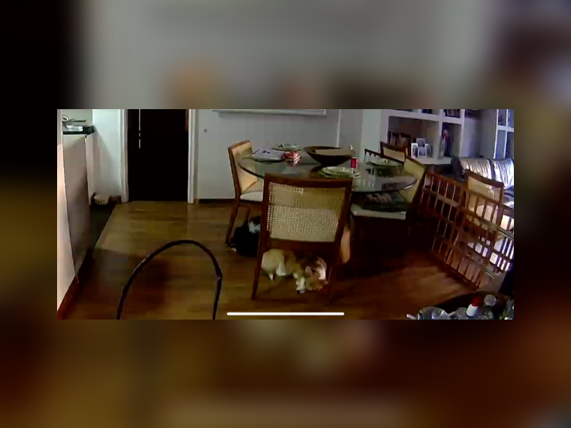 Apartamento à venda Tijuca com 138m² e 3 quartos por R$ 700.000 - img-2564.PNG