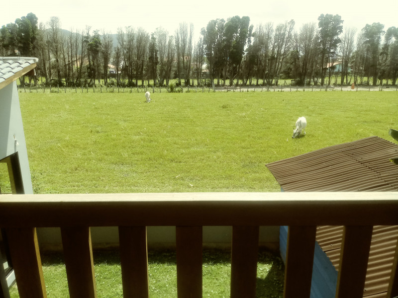 Casa à venda São João do Rio Vermelho com 153m² e 4 quartos por R$ 700.000 - 706235759-20230313-113553-film2.jpg