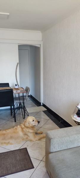 Apartamento à venda Casa Verde com 54m² e 2 quartos por R$ 500.000 - 1076199403-img-20220924-wa0042.jpg