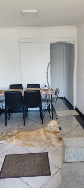 Apartamento à venda Casa Verde com 54m² e 2 quartos por R$ 500.000 - 1669475457-img-20220924-wa0041.jpg