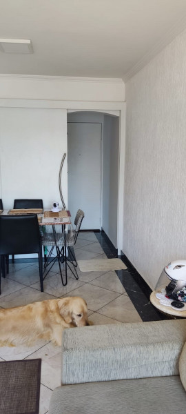 Apartamento à venda Casa Verde com 54m² e 2 quartos por R$ 500.000 - 1862286403-img-20220924-wa0040.jpg