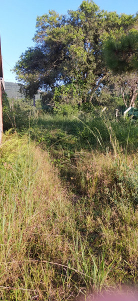Terreno à venda Enseada da Pinheira com 150m² e 1 quarto por R$ 350.000 - 1567762466-whatsapp-image-2023-03-13-at-13.jpeg