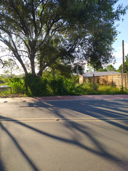 Terreno à venda Enseada da Pinheira com 150m² e 1 quarto por R$ 350.000 - 886490682-whatsapp-image-2023-03-13-at-13.jpeg