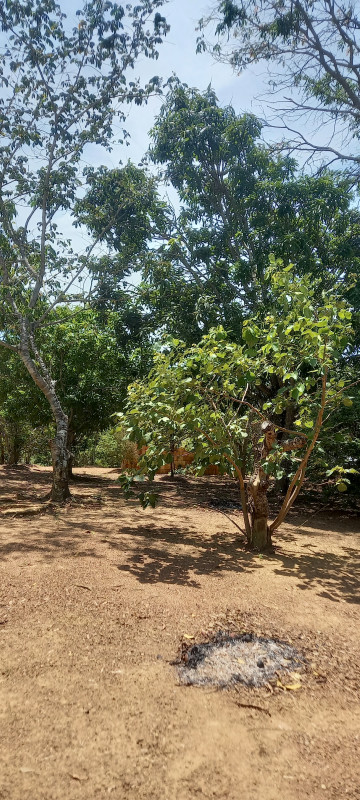 Chácara à venda Parque Santo Antonio com 21m² e 3 quartos por R$ 360.000 - 1304088118-20231016-125840.jpg
