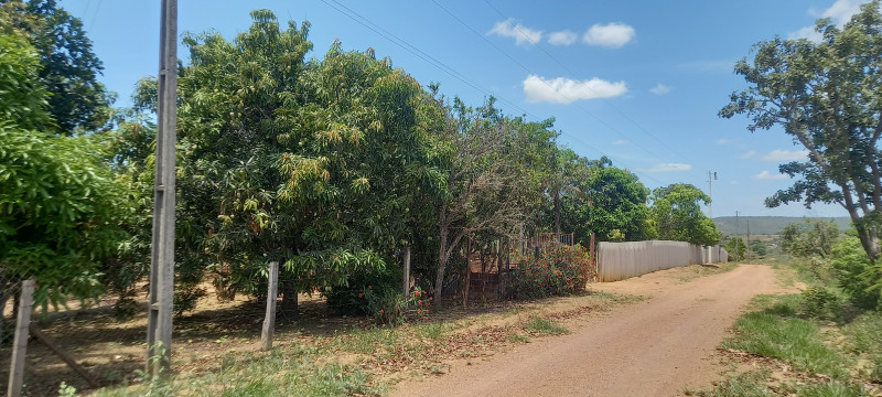 Chácara à venda Parque Santo Antonio com 21m² e 3 quartos por R$ 360.000 - 1470156780-20231016-125338.jpg