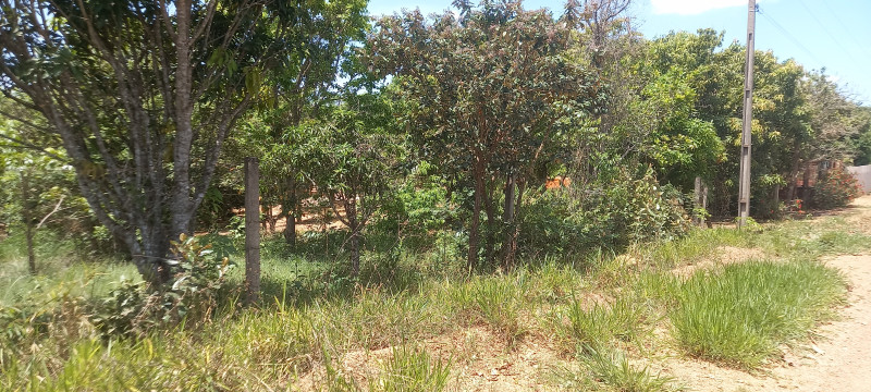 Chácara à venda Parque Santo Antonio com 21m² e 3 quartos por R$ 360.000 - 1574971206-20231016-125322.jpg