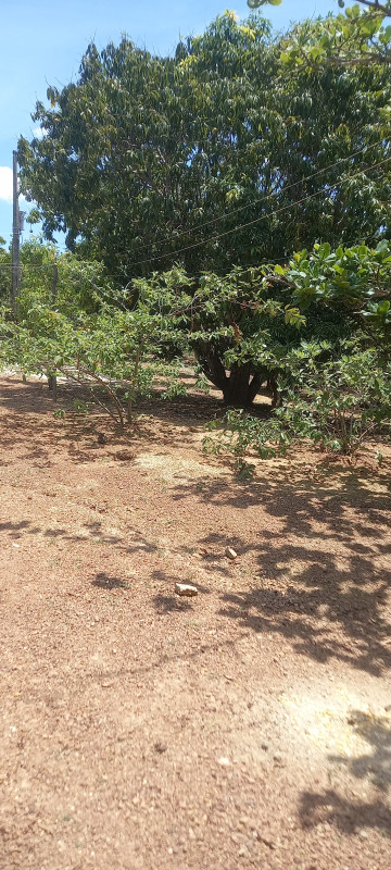 Chácara à venda Parque Santo Antonio com 21m² e 3 quartos por R$ 360.000 - 1598898981-20231016-125052.jpg