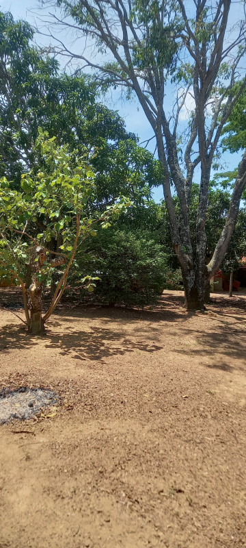 Chácara à venda Parque Santo Antonio com 21m² e 3 quartos por R$ 360.000 - 164706994-20231016-125837.jpg