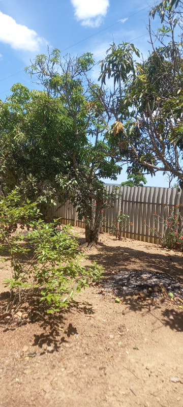 Chácara à venda Parque Santo Antonio com 21m² e 3 quartos por R$ 360.000 - 1986533133-20231016-125805.jpg