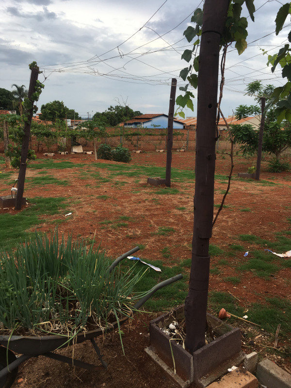 Terreno à venda Setor Estrela Dalva com 5000m² e 1 quarto por R$ 1.600.000 - 1113054212-chac-3.JPG