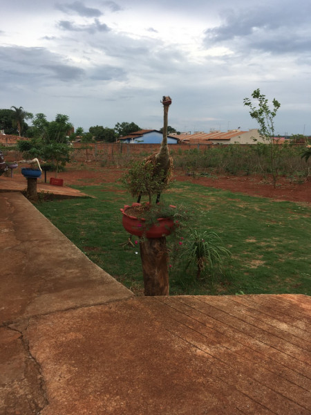 Terreno à venda Setor Estrela Dalva com 5000m² e 1 quarto por R$ 1.600.000 - 1584703154-chac-4.jpg