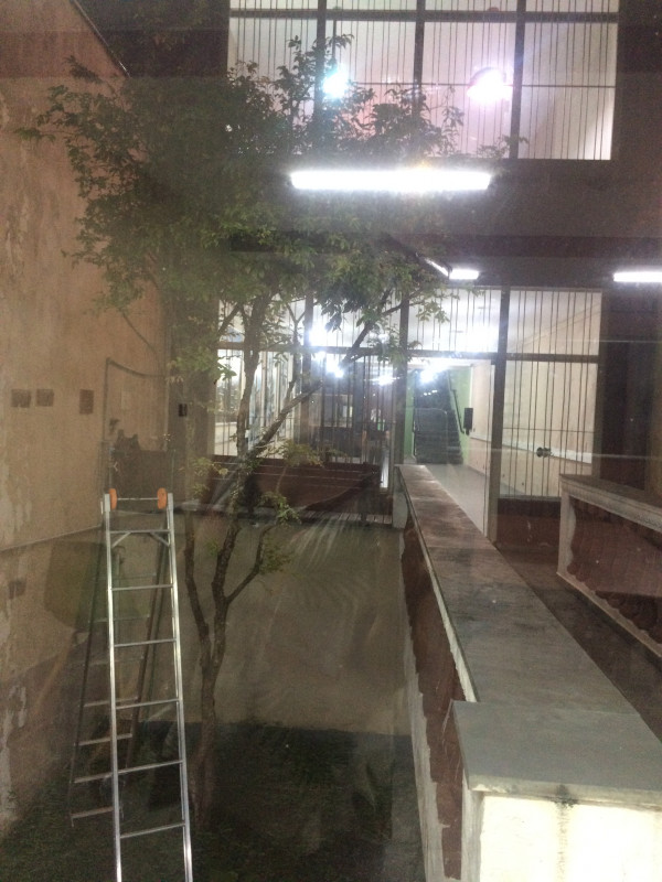 Casa à venda Bela Vista com 405m² e 3 quartos por R$ 3.000.000 - 874455491-9d706973-17b4-4632-931c-05ab68f3dd28.jpeg