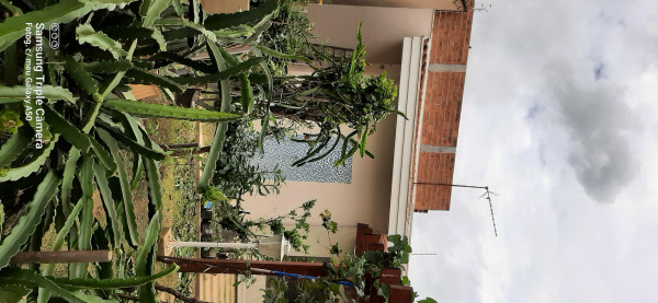 Casa à venda Jardim Murayama com 260m² e 3 quartos por R$ 1.200.000 - 1279613705-pes-pitaias.jpeg