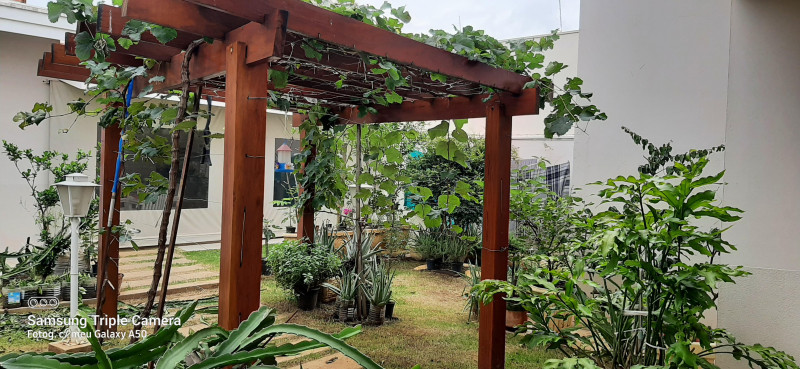 Casa à venda Jardim Murayama com 260m² e 3 quartos por R$ 1.200.000 - 1658852246-pergolado-parreira-uvas.jpeg