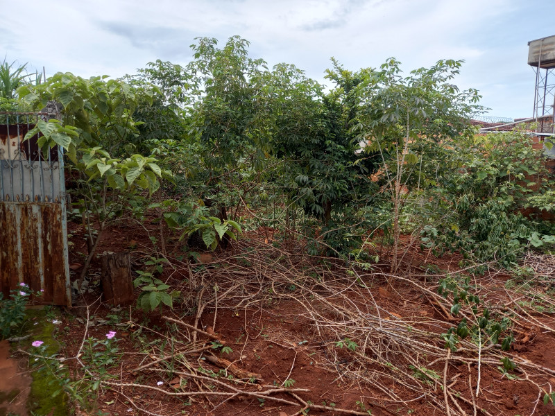 Terreno à venda Vila Finsocial com 300m² e 1 quarto por R$ 140.000 - 1190589074-20230319-123236.jpg