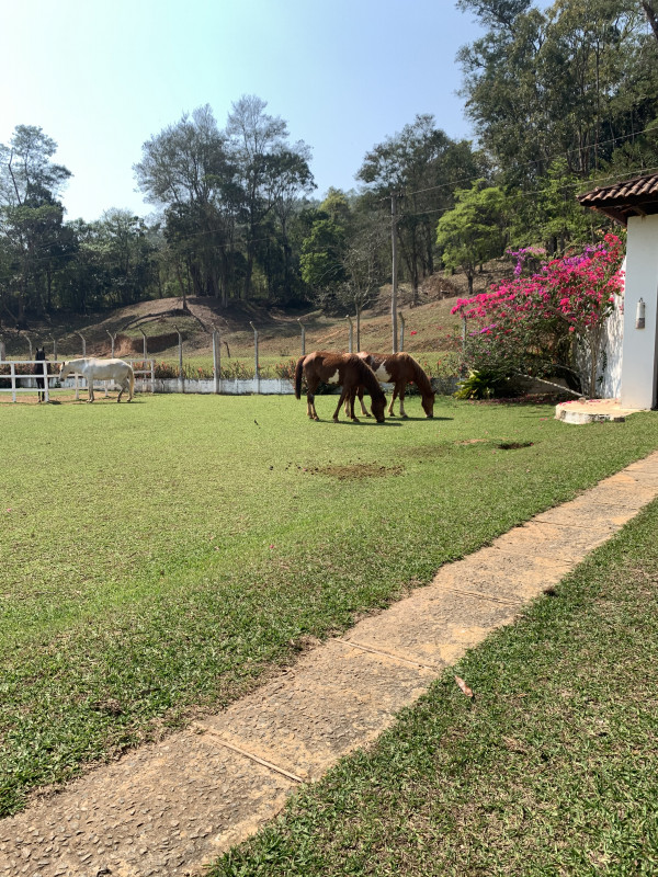 Sítio à venda Ouro fino com 72600m² e 3 quartos por R$ 1.500.000 - 1168343482-1ff674e2-2ee8-4031-b590-b10091e2da81.jpeg