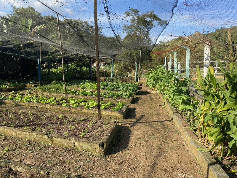 Sítio à venda Ouro fino com 72600m² e 3 quartos por R$ 1.500.000 - 1908426793-8b5e2c48-4643-490c-8dbb-0a3dac66416f.jpeg