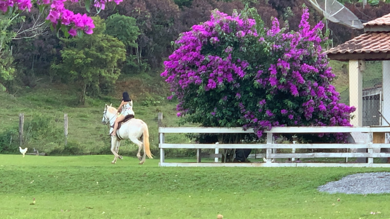 Sítio à venda Ouro fino com 72600m² e 3 quartos por R$ 1.500.000 - 1918868676-8ca90eff-79fb-421d-8dc8-6e2ac04e46d5.jpeg