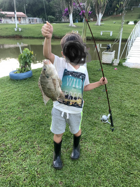 Sítio à venda Ouro fino com 72600m² e 3 quartos por R$ 1.500.000 - 1958711787-76af61ad-a1c9-4410-b7d0-68cc7e8bf639.jpeg