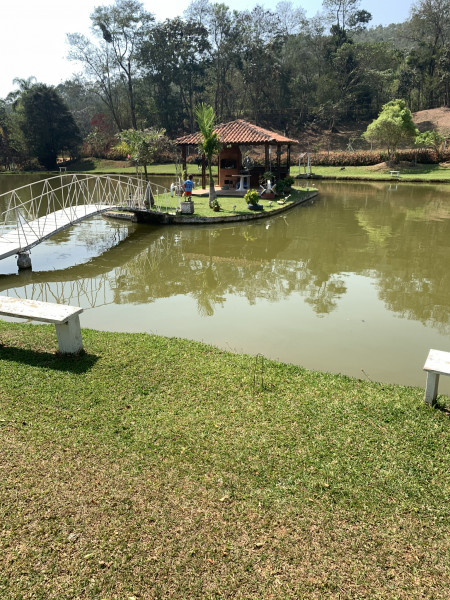 Sítio à venda Ouro fino com 72600m² e 3 quartos por R$ 1.500.000 - 2025108292-fbb8e625-8b1a-49c3-88be-b2256ca60170.jpeg