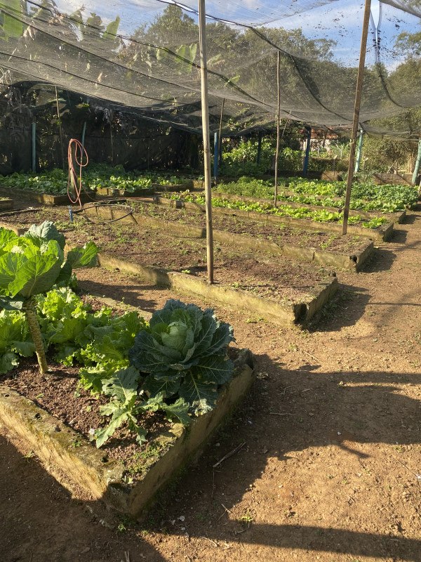 Sítio à venda Ouro fino com 72600m² e 3 quartos por R$ 1.500.000 - 438748641-1d2ae6d4-16ce-4508-afe7-d3deec5510d0.jpeg