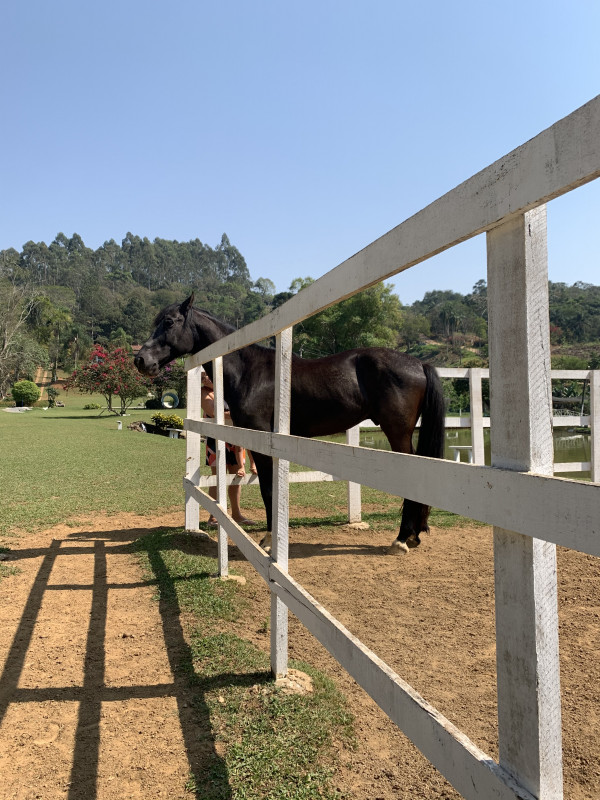 Sítio à venda Ouro fino com 72600m² e 3 quartos por R$ 1.500.000 - 607769982-d2dd45df-178f-4dcc-b0fa-9e367b7aa87b.jpeg