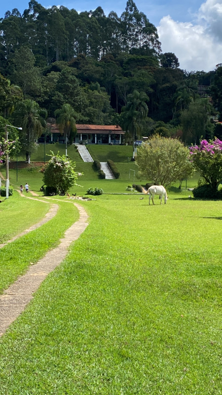 Sítio à venda Ouro fino com 72600m² e 3 quartos por R$ 1.500.000 - 969780115-6e9237be-3560-4ac7-a088-df23c173b6c0.jpeg