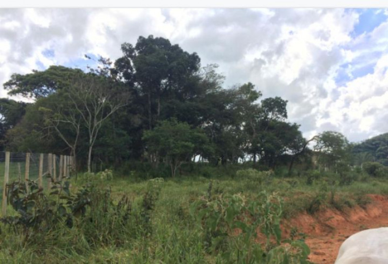 Chácara à venda Bom Pastor com 2600m² e 1 quarto por R$ 180.000 - 1125249432-screenshot-20230315-004920.jpg