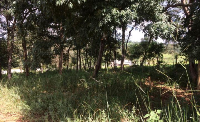 Chácara à venda Bom Pastor com 2600m² e 1 quarto por R$ 180.000 - 594499147-screenshot-20230315-004925.jpg