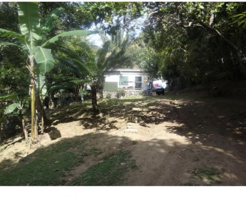 Chácara à venda Portinho com 4730m² e 1 quarto por R$ 1.250.000 - 310029421-4c0c4462-504c-4604-8594-77390075b821.jpeg