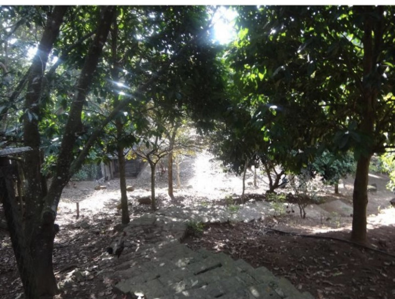 Chácara à venda Portinho com 4730m² e 1 quarto por R$ 1.250.000 - 354694378-7af2bad0-fe84-4296-b595-f786cda36370.jpeg