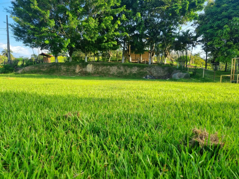 Sítio à venda Campina Verde com 21m² e 7 quartos por R$ 2.250.000 - 1216262584-whatsapp-image-2023-03-20-at-16.jpeg
